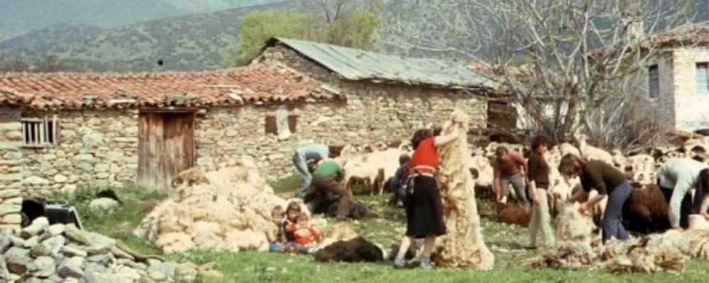 Construction of a traditional farming cabin house (Griechenland)